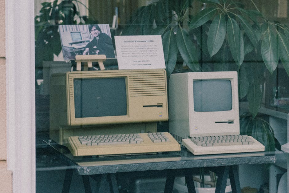 BMP Format in 2026: The Three Use Cases That Aren't Anachronistic