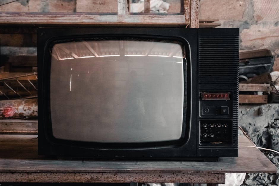 SRT vs VTT vs ASS: Which Subtitle Format Survives Your Video Player