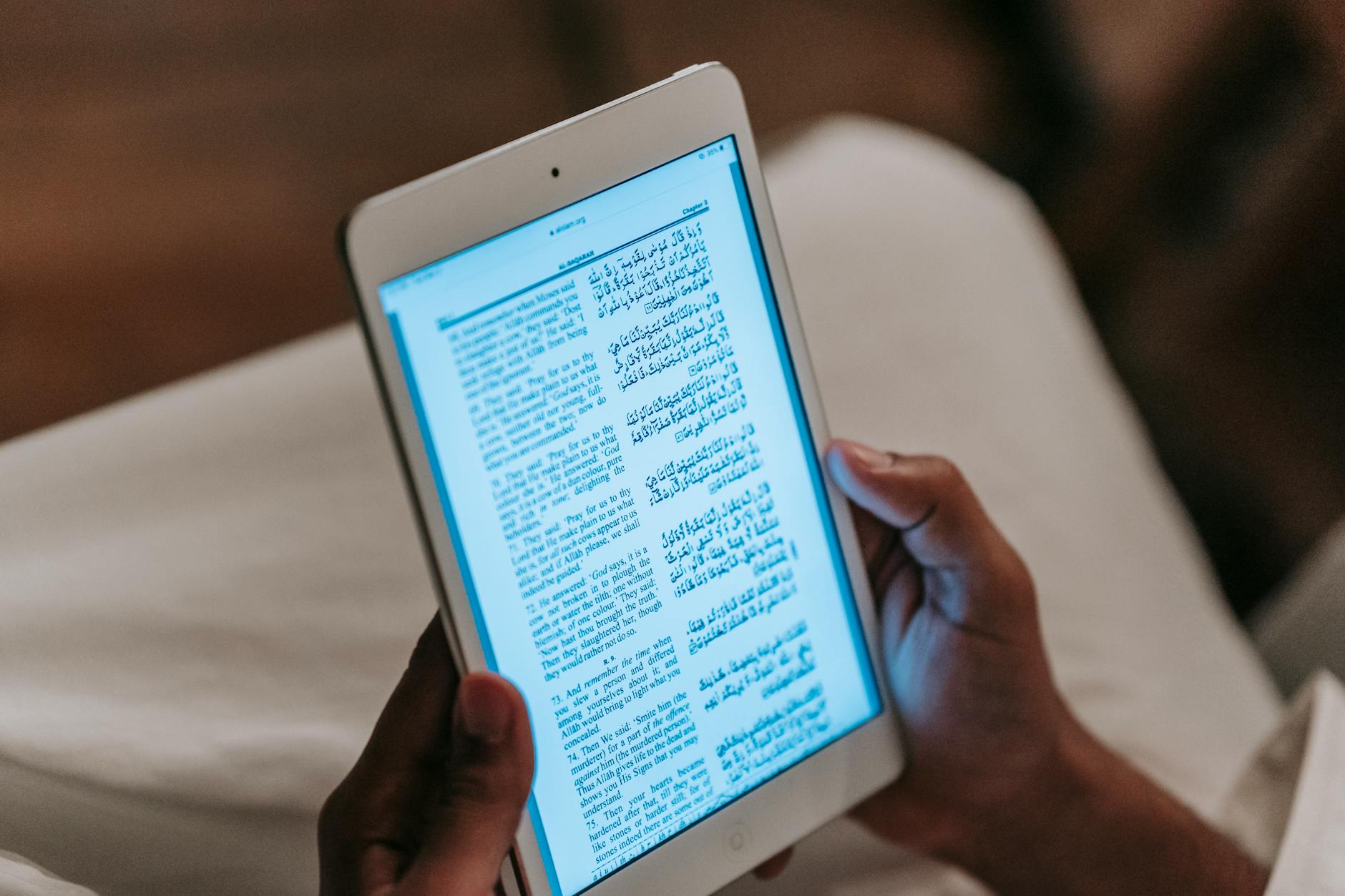 An FB2 file being converted to EPUB for use on modern e-readers