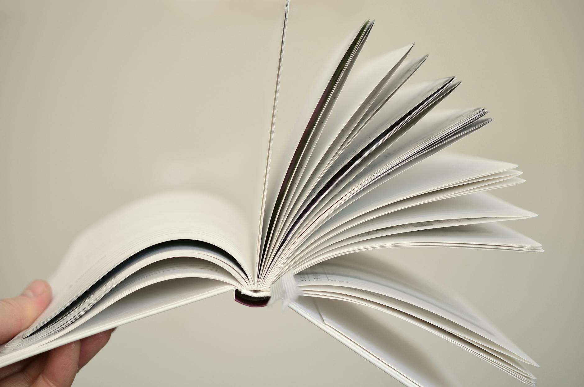 Image optimization settings panel showing compression and dimension controls for ebook images